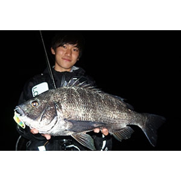 ＫＩＣＫＢＥＡＴ　５５ｍｍ　１２ｇ